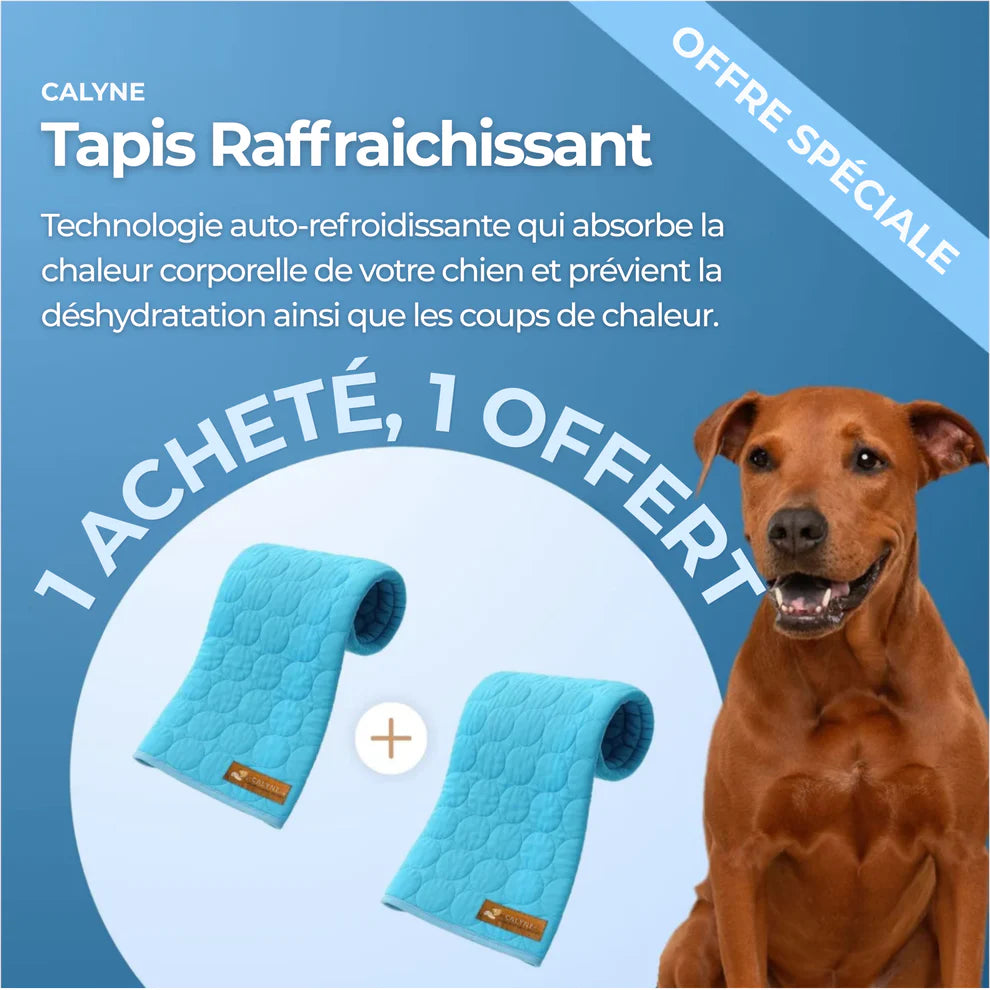 TAPIS RAFRAICHISSANT POUR CHIEN CALYNE 2.0 (1+1 GRATUIT)