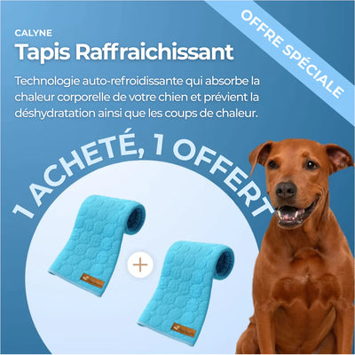 TAPIS RAFRAICHISSANT POUR CHIEN CALYNE 2.0 (1+1 GRATUIT)