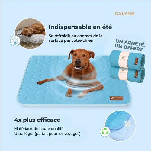 TAPIS RAFRAICHISSANT POUR CHIEN CALYNE 2.0 (1+1 GRATUIT)