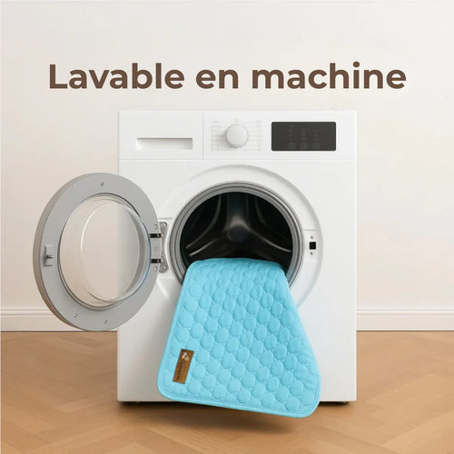 TAPIS RAFRAICHISSANT POUR CHIEN CALYNE 2.0 (1+1 GRATUIT)