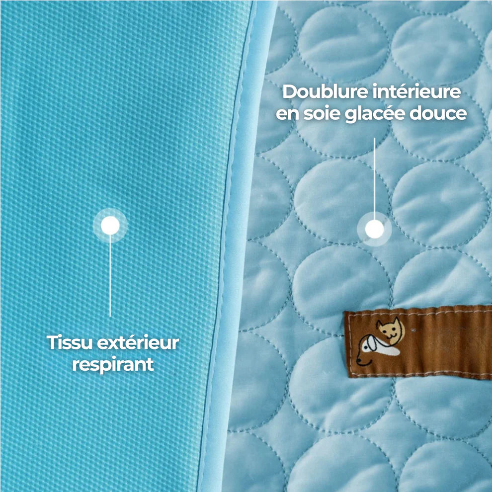TAPIS RAFRAICHISSANT POUR CHIEN CALYNE 2.0 (1+1 GRATUIT)