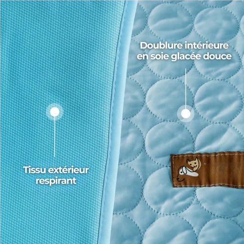 TAPIS RAFRAICHISSANT POUR CHIEN CALYNE 2.0 (1+1 GRATUIT)