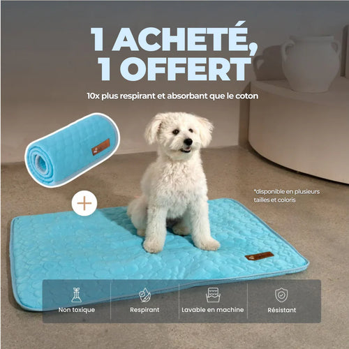 TAPIS RAFRAICHISSANT POUR CHIEN CALYNE 2.0 (1+1 GRATUIT)