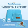 TAPIS RAFRAICHISSANT POUR CHIEN CALYNE 2.0 (1+1 GRATUIT)