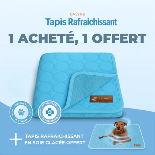 TAPIS RAFRAICHISSANT POUR CHIEN CALYNE 2.0 (1+1 GRATUIT)