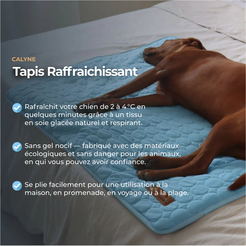 TAPIS RAFRAICHISSANT POUR CHIEN CALYNE 2.0 (1+1 GRATUIT)