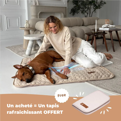 TAPIS RAFRAICHISSANT POUR CHIEN CALYNE 2.0 (1+1 GRATUIT)