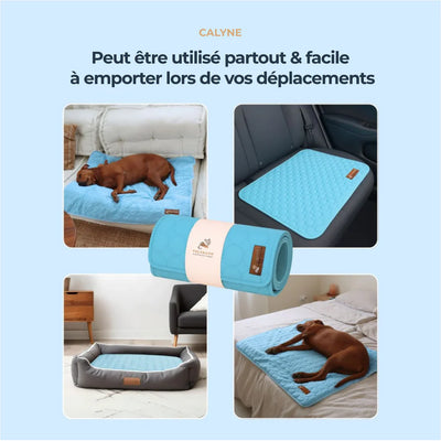 TAPIS RAFRAICHISSANT POUR CHIEN CALYNE 2.0 (1+1 GRATUIT)