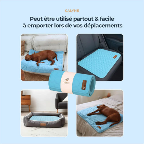 TAPIS RAFRAICHISSANT POUR CHIEN CALYNE 2.0 (1+1 GRATUIT)