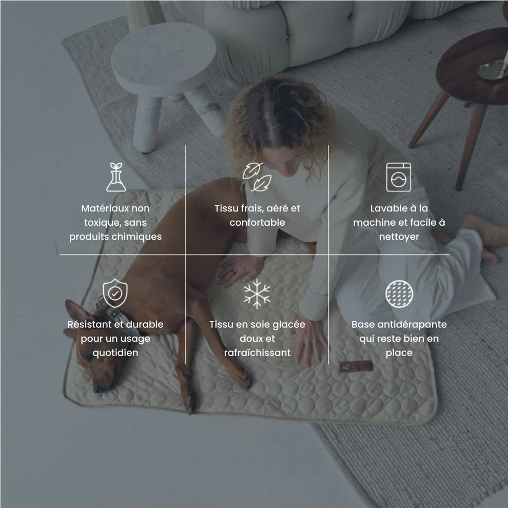 TAPIS RAFRAICHISSANT POUR CHIEN CALYNE 2.0 (1+1 GRATUIT)