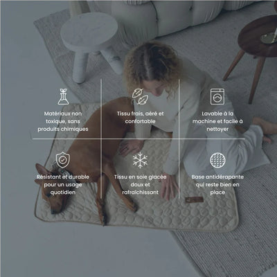 TAPIS RAFRAICHISSANT POUR CHIEN CALYNE 2.0 (1+1 GRATUIT)