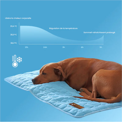 TAPIS RAFRAICHISSANT POUR CHIEN CALYNE 2.0 (1+1 GRATUIT)