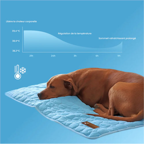 TAPIS RAFRAICHISSANT POUR CHIEN CALYNE 2.0 (1+1 GRATUIT)