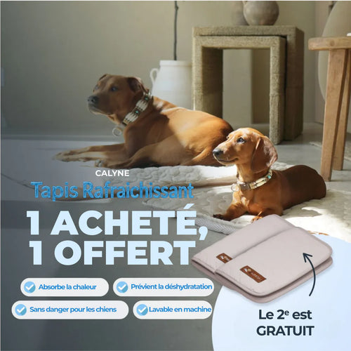 TAPIS RAFRAICHISSANT POUR CHIEN CALYNE 2.0 (1+1 GRATUIT)