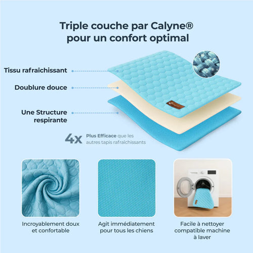 TAPIS RAFRAICHISSANT POUR CHIEN CALYNE 2.0 (1+1 GRATUIT)